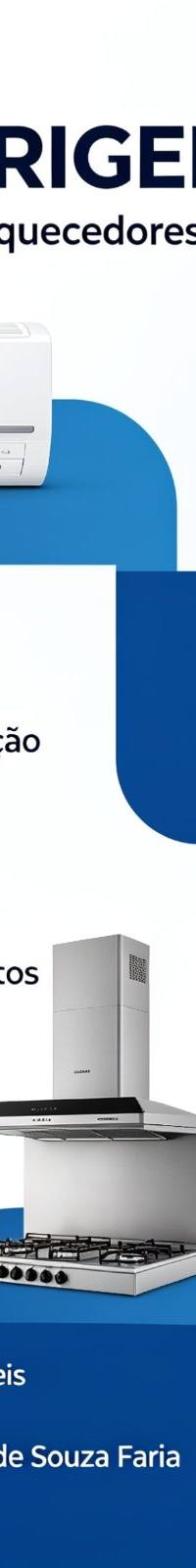 leandro gonçalo da conceiçao reis