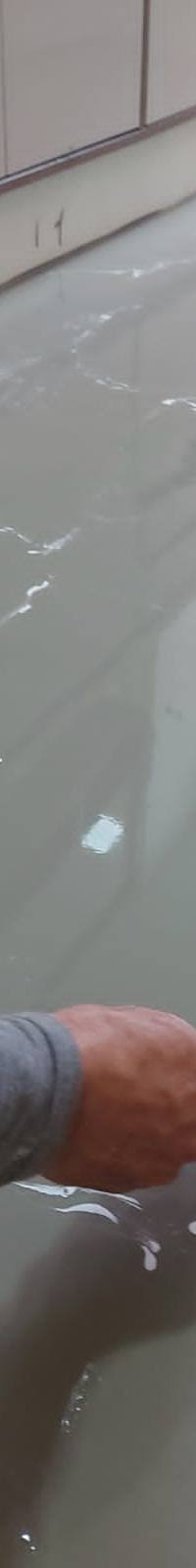 Inove & Renove pinturas
