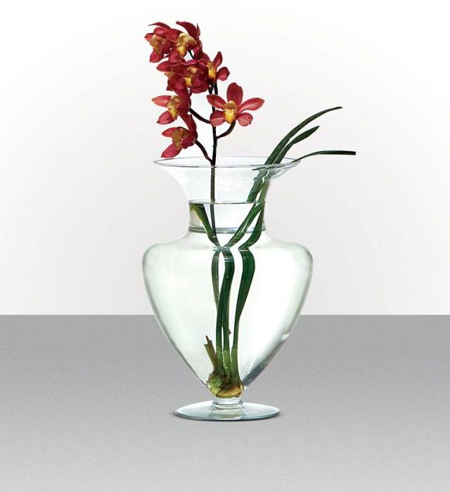 Vaso Transparente vidro